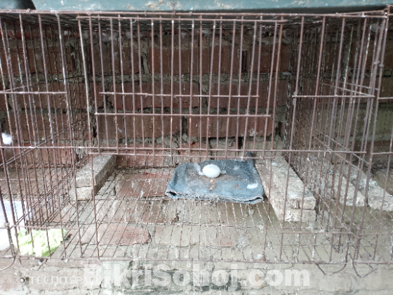 খাঁচা বিক্রি করবো